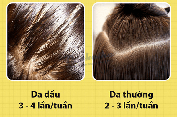 Gội đầu bao nhiêu lần một tuần để tóc luôn chắc khỏe, giảm rụng tóc