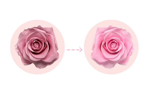 Làm hồng nhũ hoa có ảnh hưởng gì không? Phương pháp hiệu quả