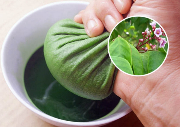 Tắm lá khế chua có chữa được mày đay không? Lưu ý an toàn